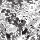 Image for article titled The Original Super Sentai Manga Is a Fascinating Tale of 2 Tones